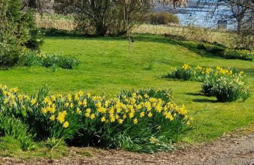 The Bungalow - Ardullie Lodge - Photo 13