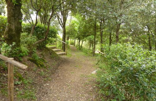 Villa Sant'Alberto - Foto 31