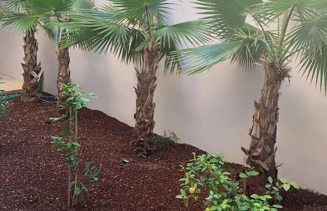 Bodrum - 5 Bedrooms Villa With Heated Pool - Foto 34