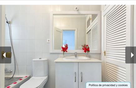 Balcón de Málaga - Foto 18