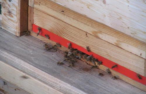 FW Rettenberger - Foto 11