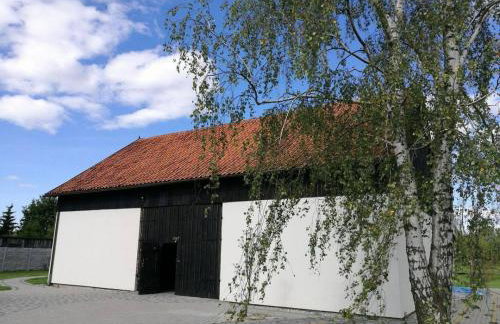 Jarzębinowy Agroturystyka - Foto 12