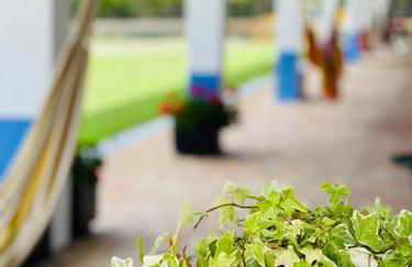 Monte do Lago, Pegões - Foto 45