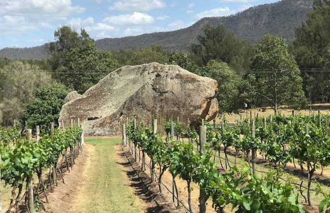 Winmark Wines - Foto 33