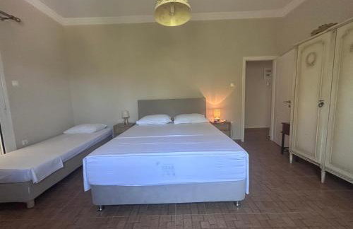 Pistachio House - Foto 9