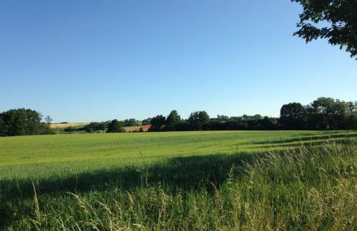 Ferienwohnung Mohnblume - Photo 32