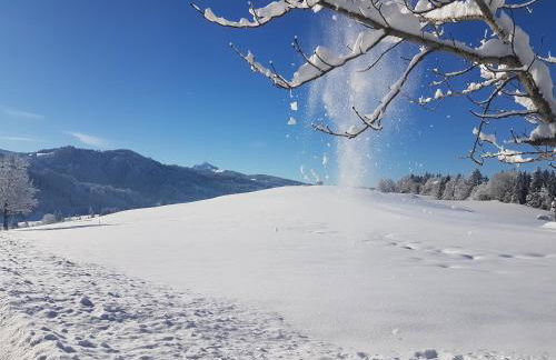 4-Sterne Tiny House & erholsame Ruhe und ganz viel Natur im Oberallgäu - Photo 11