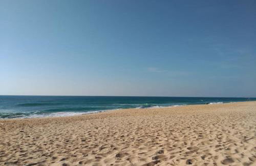 Casa do Sul - Foto 54