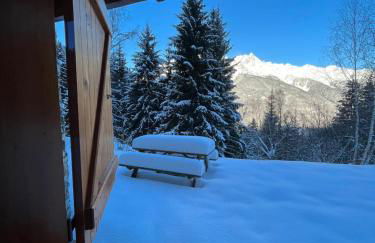 Chalet Oz en Oisans Station - Alpe d'Huez - Foto 6