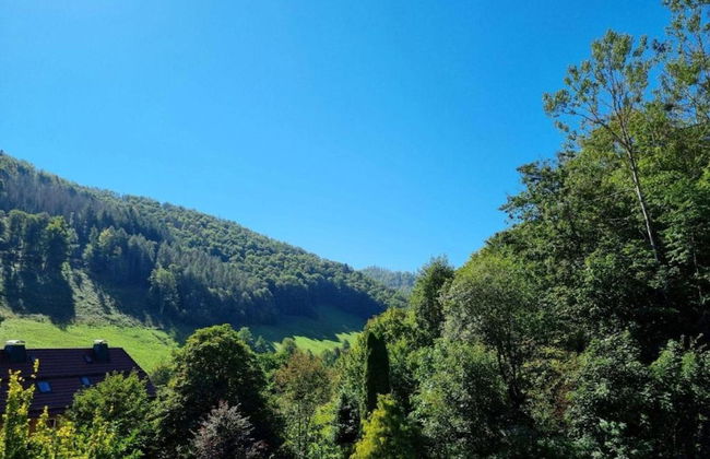 Cosy Holiday Home in the Harz Region - Foto 74