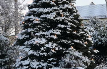 FeWo „Zum Napoleonstein“ - Foto 54