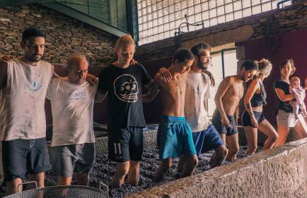 Quinta das Amendoeiras - Foto 45