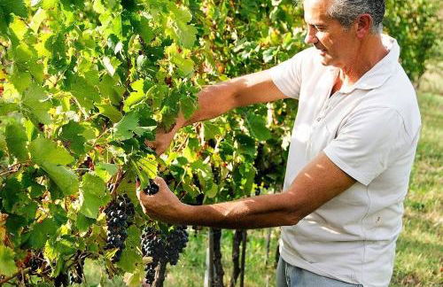 Agriturismo Podere Prasiano - Photo 14