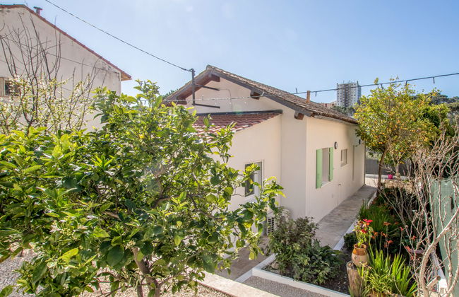 Mont des oiseaux - Photo 12