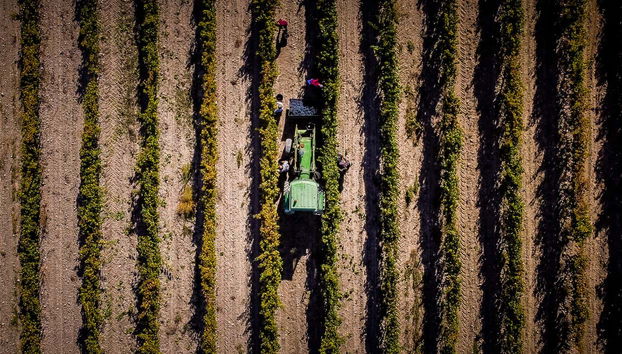 Tour in Canalejas de Peñafiel - Photo 3