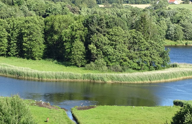 "Veselin" - 100m from the sea - Foto 7