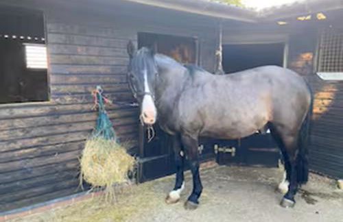 The Cosy Hide - A romantic rural retreat for 2 - Foto 45