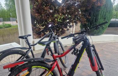 Modra Sikorka - Foto 57