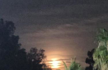 Precioso apartamento residencial con vistas al mar - Foto 8