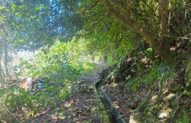 Portas da Levada A by Rent-a-key - Foto 32