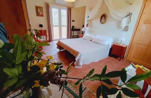 Marrucheto - Foto 29