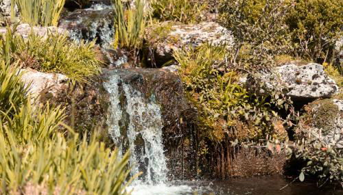 Le Cube Soma - Confortable T3 - Photo 3