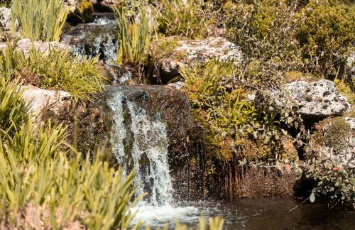 Le Cube Soma - Confortable T3 - Foto 3