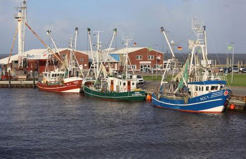 Emily's Deichbude in einer historischen Villa in Dornumersiel - Foto 17