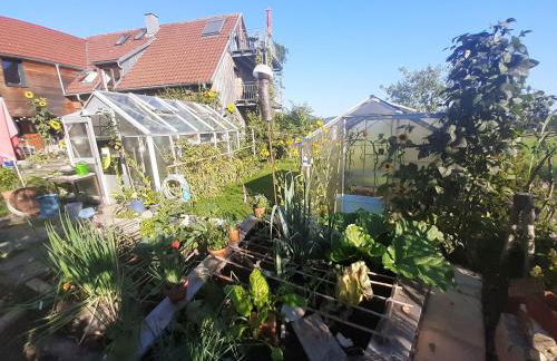 Ferienwohnung-Rotmoosblick-direkt-am-Rande-unberuehrter-Natur - Foto 31