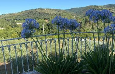 La Casa di Mario - Photo 7