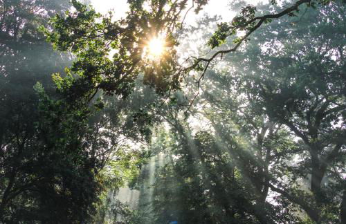 Gut Moorbeck - Foto 7