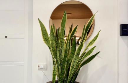 Teodorico 7 - Quiet Garden View Apartment with Parking near MiCo and CityLife - Foto 30