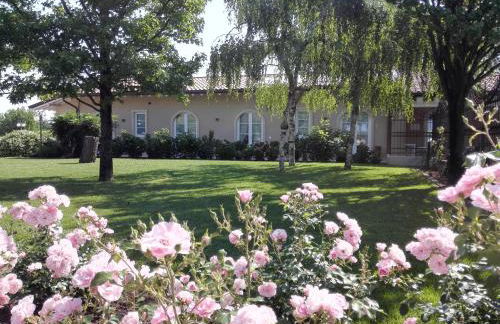 Tenuta Agriturismo La Borina - Foto 12