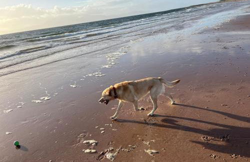 Lovely Carlung House - Foto 47