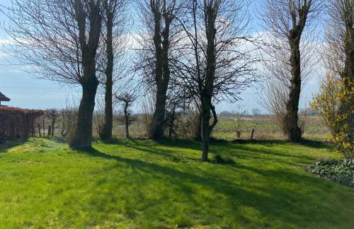 Kätchens Glück - Foto 24