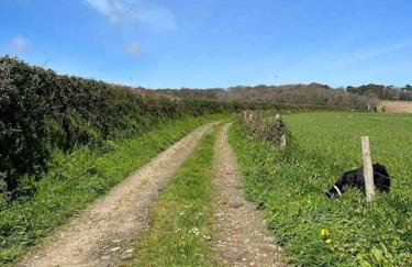 Stepping Stones Cottage - Lelant, Nr St Ives - Foto 9
