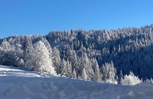 Maison la couronne - Foto 25