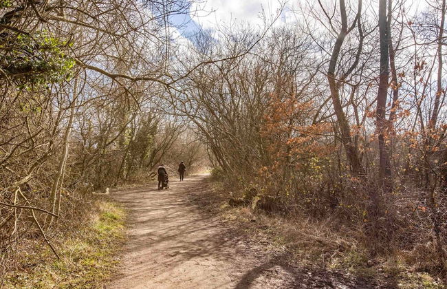 Stunning Character 2bed Cottage in St Albans Wifi - Foto 21