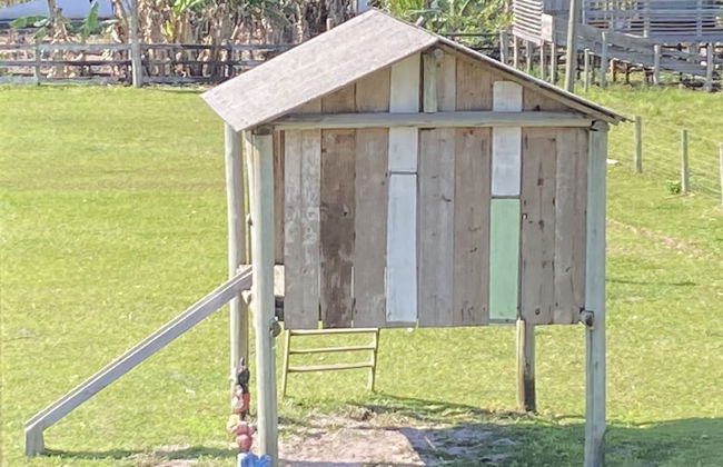 Haras Trevo de Ferro - Photo 26