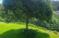 Casas da Tapada Briteiros Casa das Cortes - Photo 21