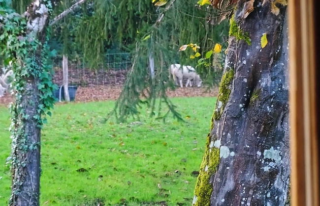 Les Gîtes de Petrocoriis - Foto 48