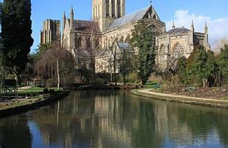 Anjou Bijou - Foto 10