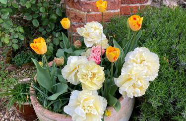 Simpers Drift, Great Glemham - Foto 29