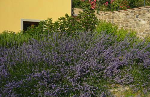 Agriturismo Podere Filicaia - Foto 41