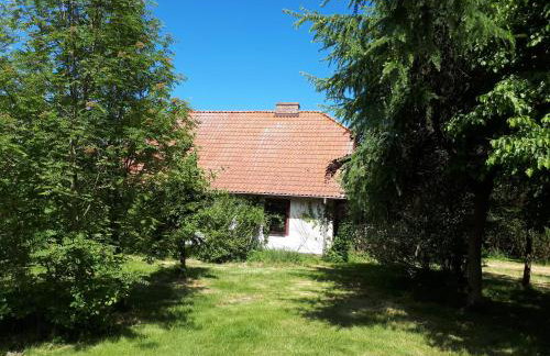 Dom koło Rewala - Foto 29