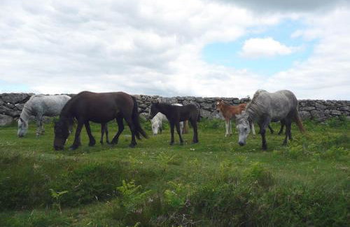 Bowbeer Barn - Foto 22