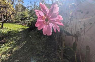 Ferienwohnung Hirsch - Foto 27