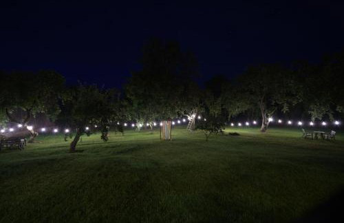 Do Góry Kołami - Foto 58