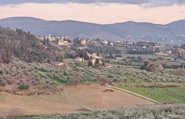 Fattoria di Maiano - Foto 32