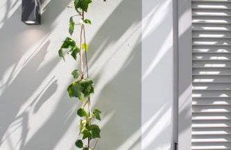 Mounouria House Koskinou - Foto 44